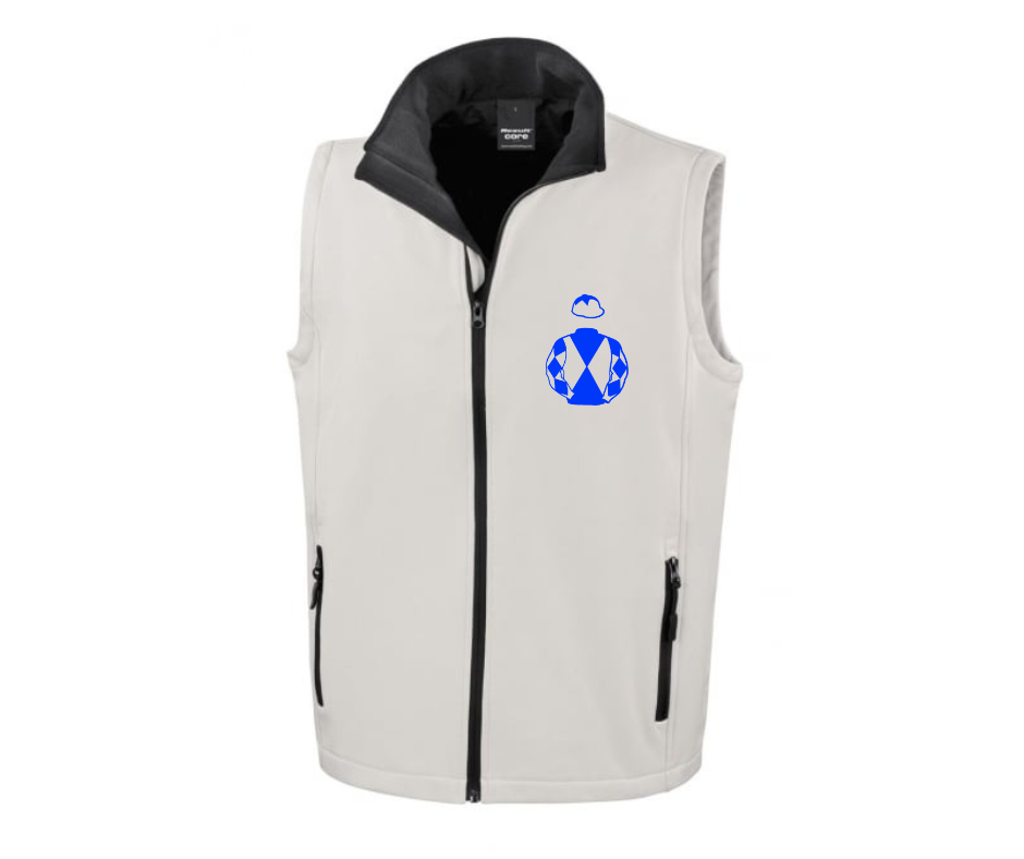 Wing It Partnership Mini Silks