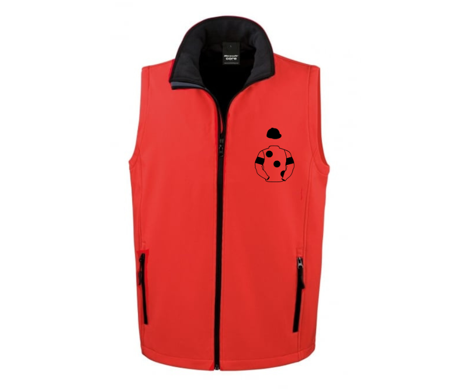 West Racing Partnership Mini Silks
