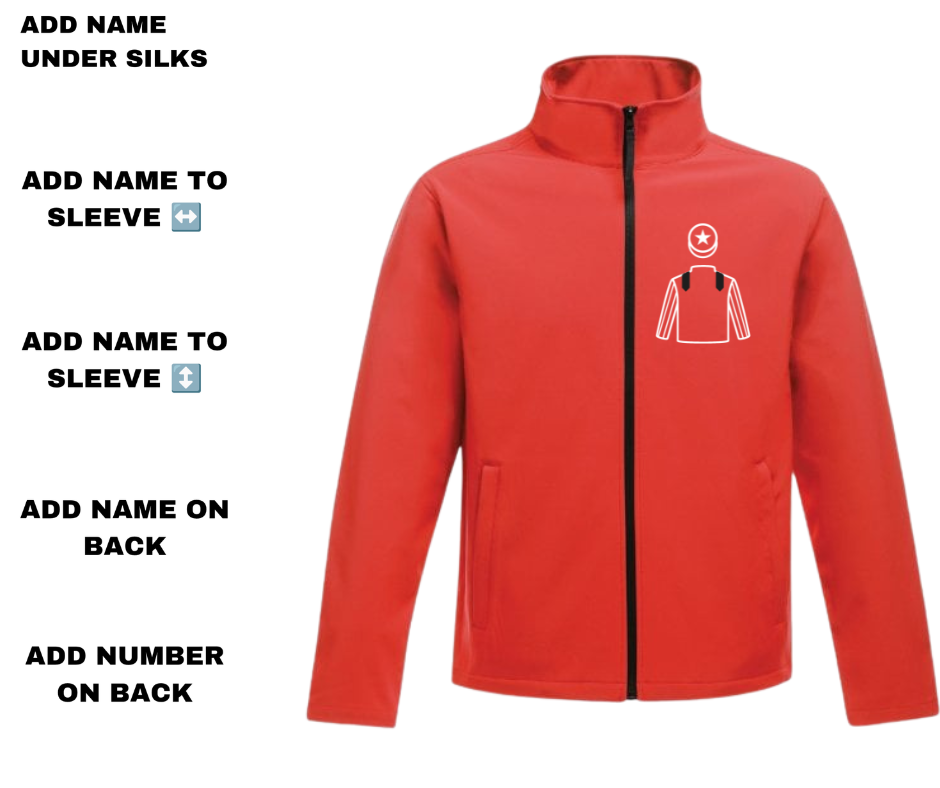 Last Day Racing Partnership Mini Silks