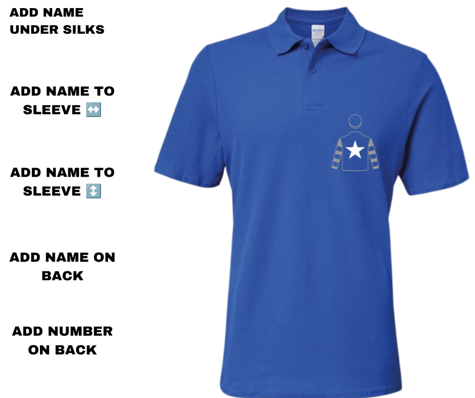 Albaugh Family Stables Mini Silks