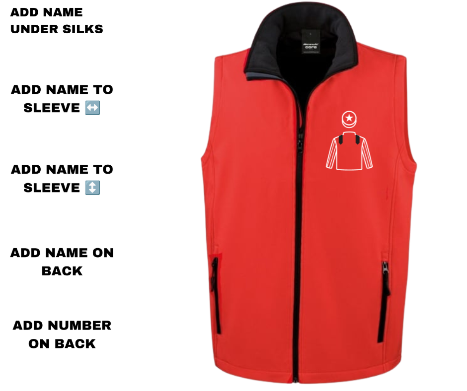 Last Day Racing Partnership Mini Silks