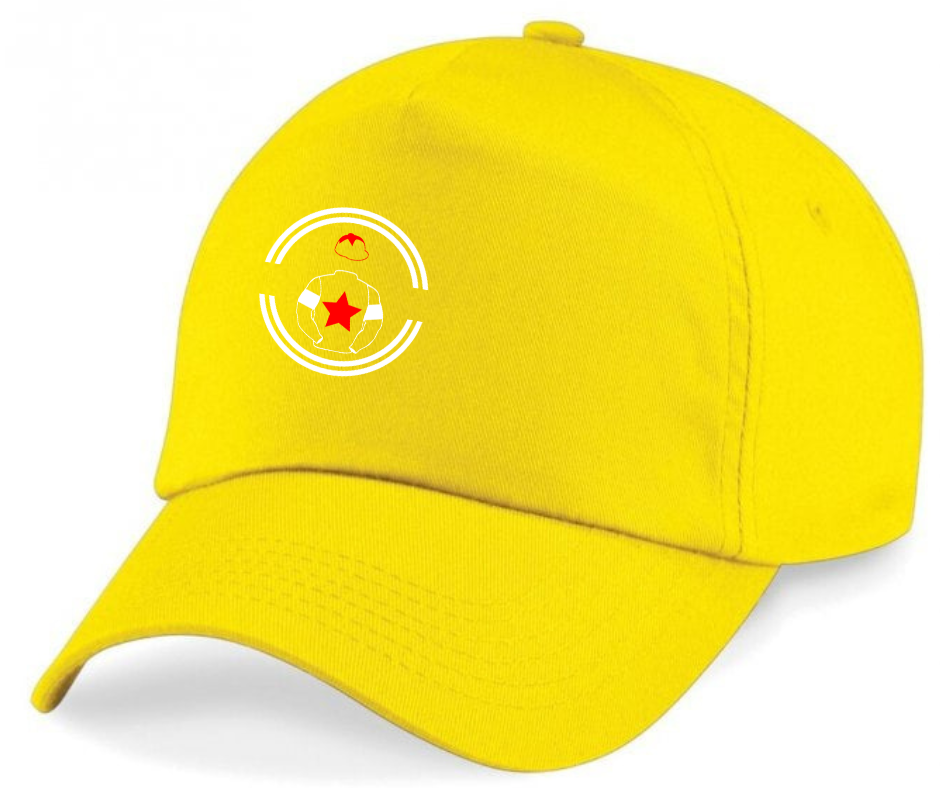 John Hales Horse Racing Cap Mini Silks