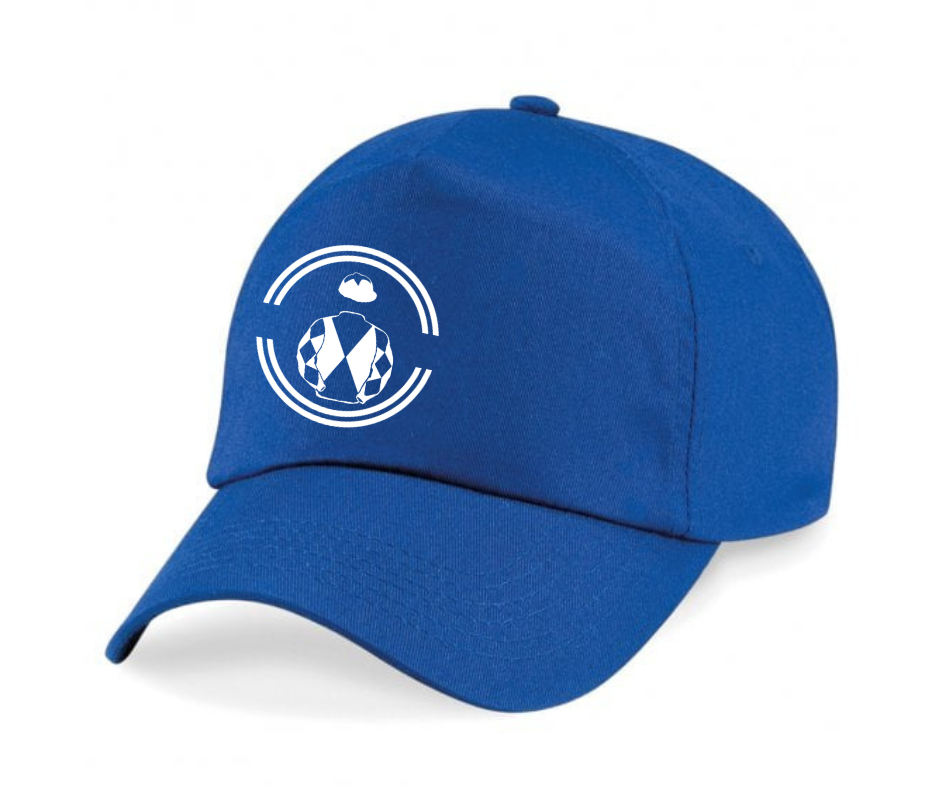 Wing It Partnership Horse Racing Cap Mini Silks