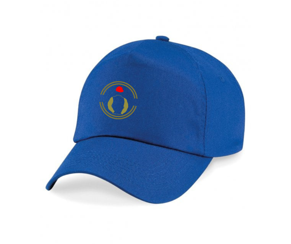 Wathnan Racing Horse Racing Cap Mini Silks