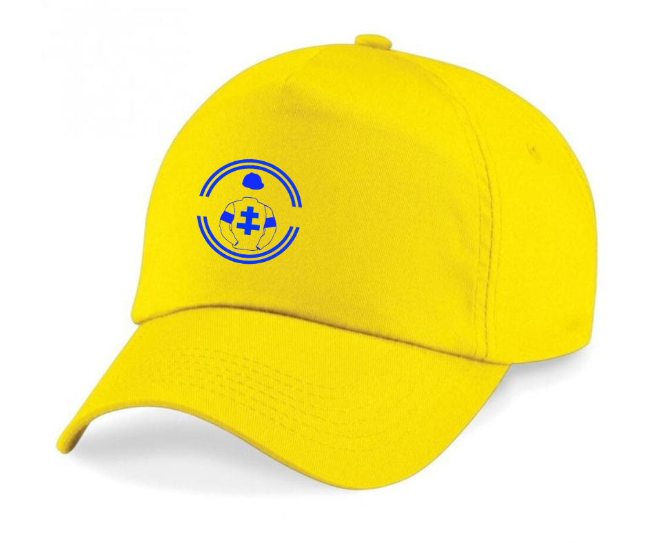 Sir Martyn Arbib Horse Racing Cap Mini Silks
