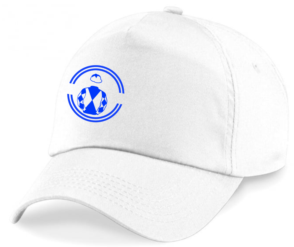 Wing It Partnership Horse Racing Cap Mini Silks