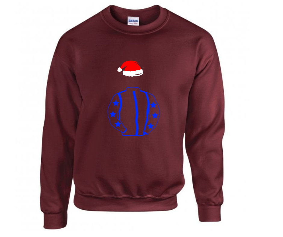 Temple Bloodstock Syndicate Christmas Jumper