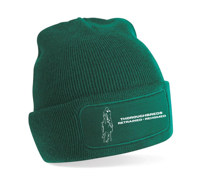 THOROUGHBREDS RETRAINED REHOMED