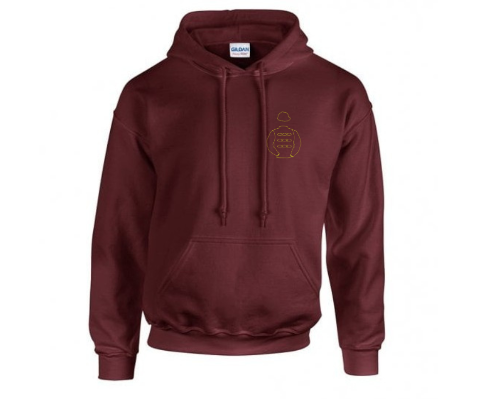 Qatar Racing Mini Silks