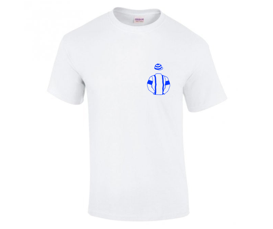 The Steeple Chasers Mini Silks