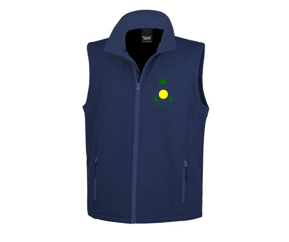 Winter Gold Racing Mini Silks