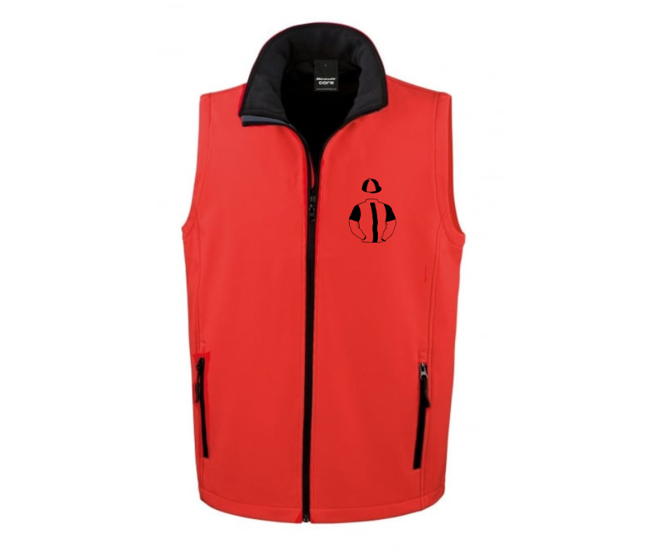 Always Trying Racing Syndicate Mini Silks