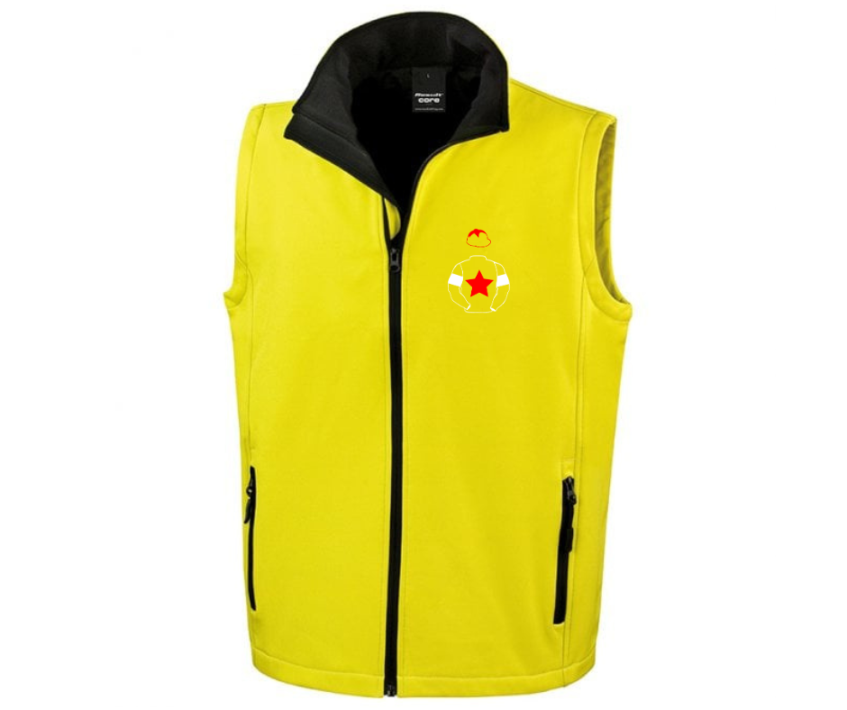 John Hales Mini Silks