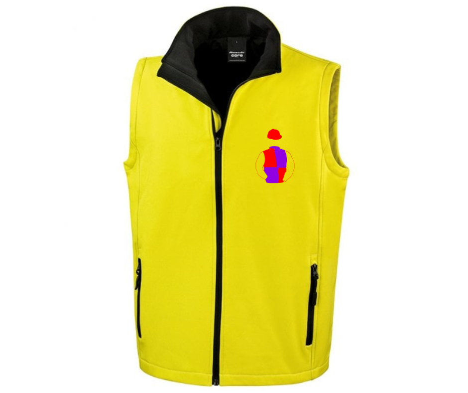 Brocade Racing Mini Silks