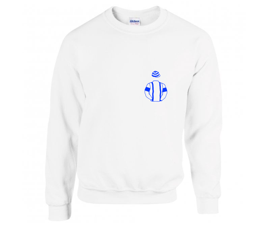 The Steeple Chasers Mini Silks
