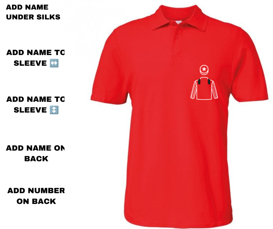 Last Day Racing Partnership Mini Silks