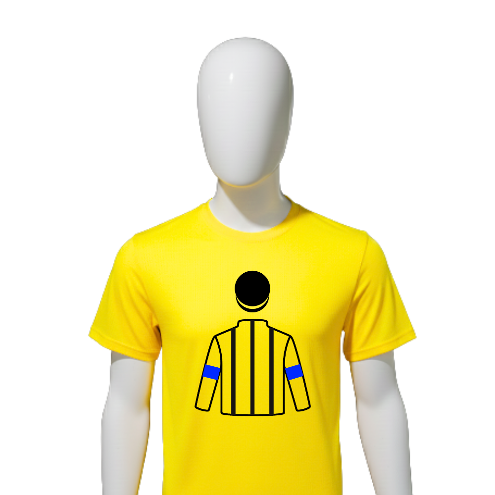 SHADAI RACE HORSE CO LTD