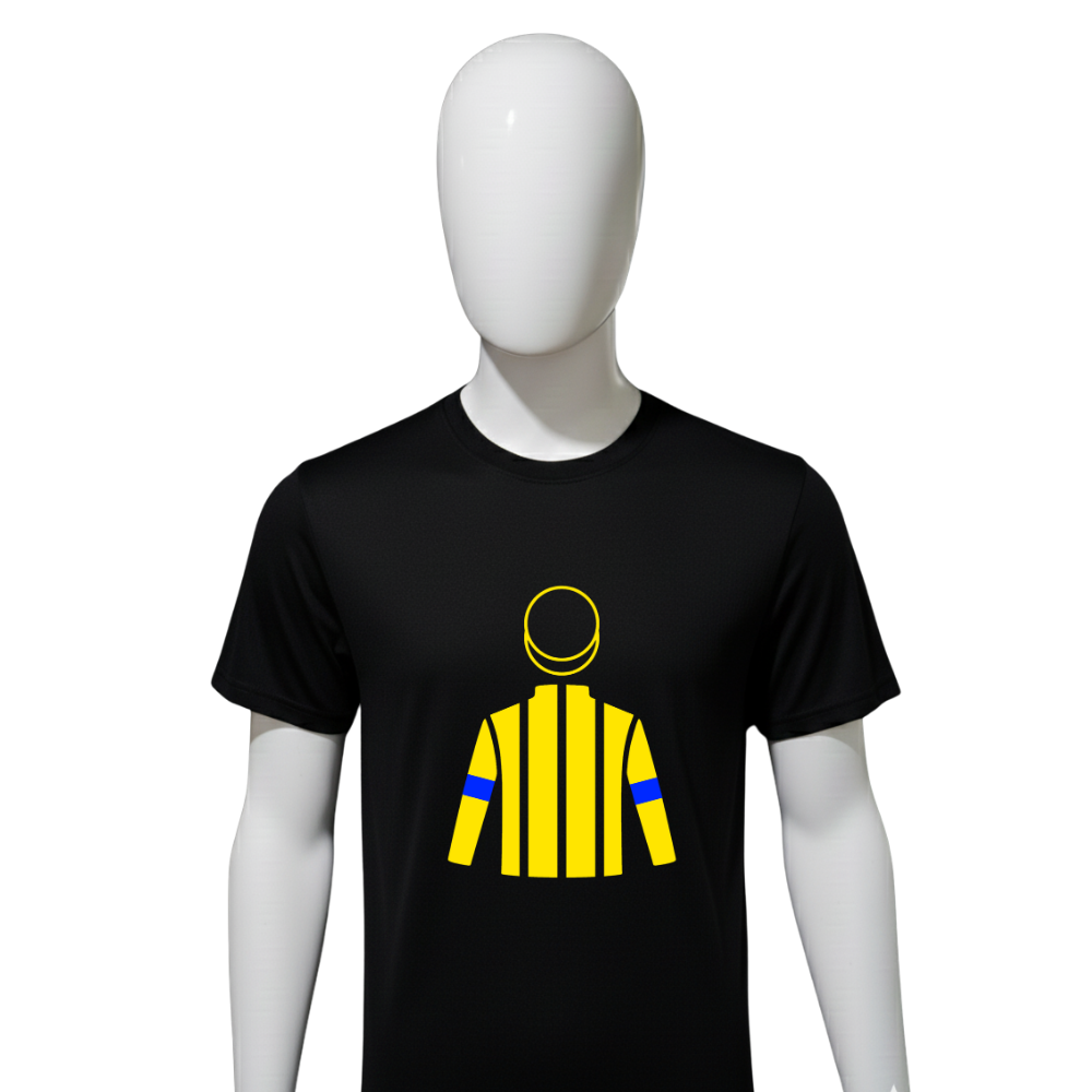 SHADAI RACE HORSE CO LTD