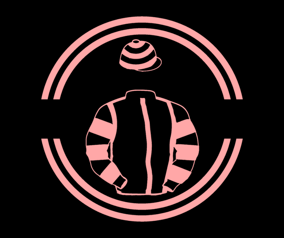 Dubelem (Racing) Limited Big Silks