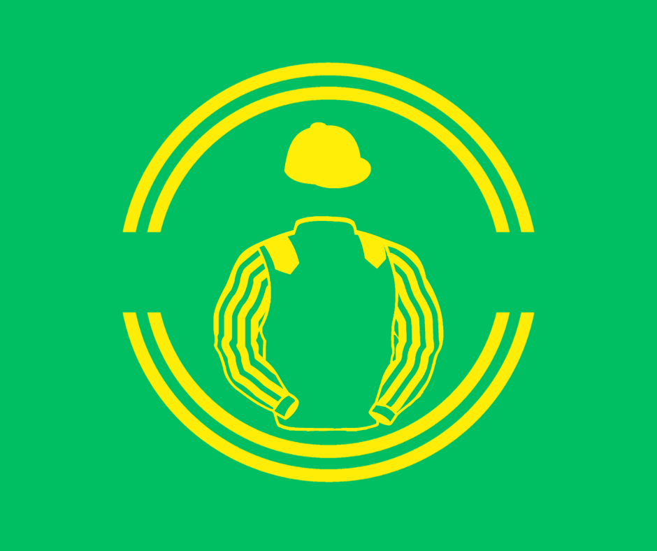 Tayvalley Chasers Big Silks