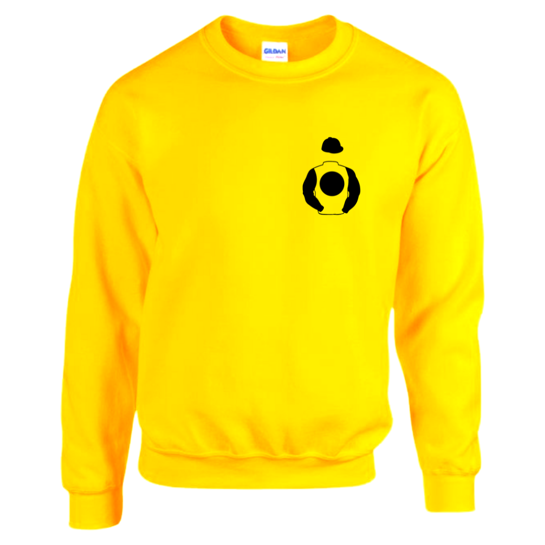 Goodwin Racing Ltd Mini Silks Multiple Colours