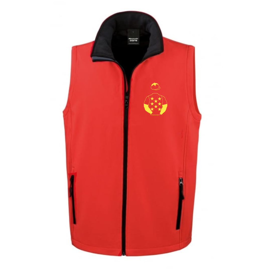 China Horse Club Mini Silks