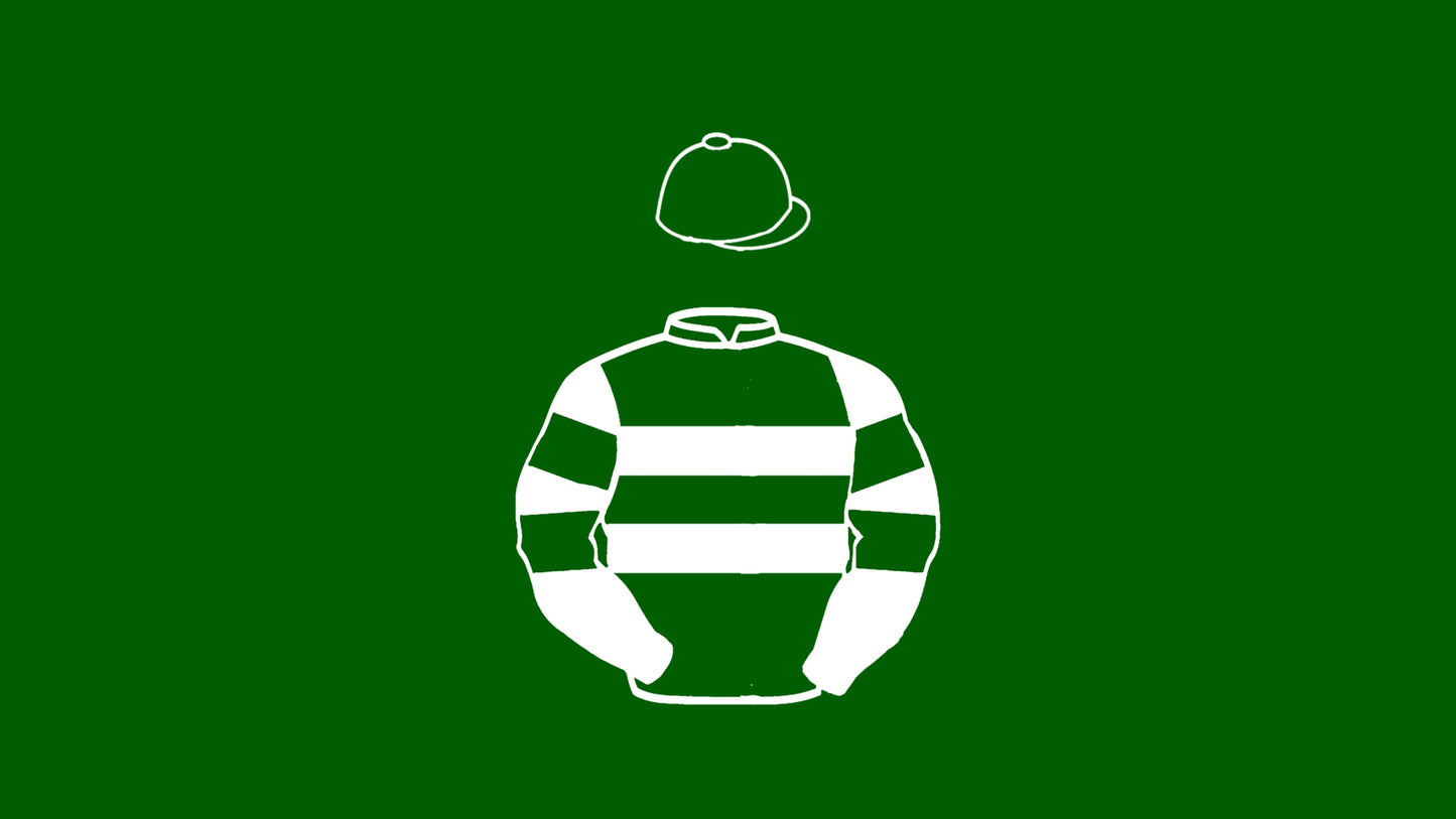 Hronis Racing LLC, West Point Thoroughbreds et al Mini Silks