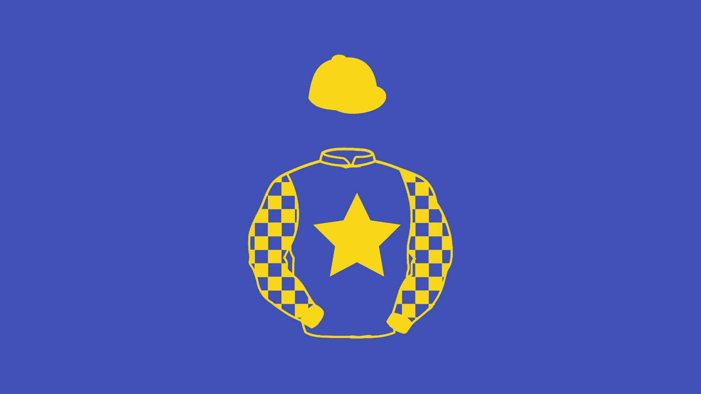 Ownaracehorse Big Silks