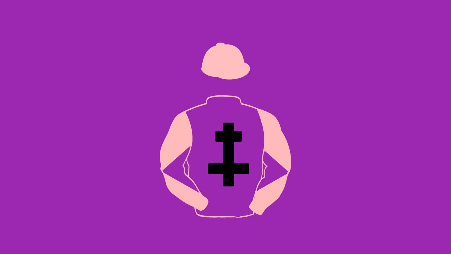 R G Gay Big Silks