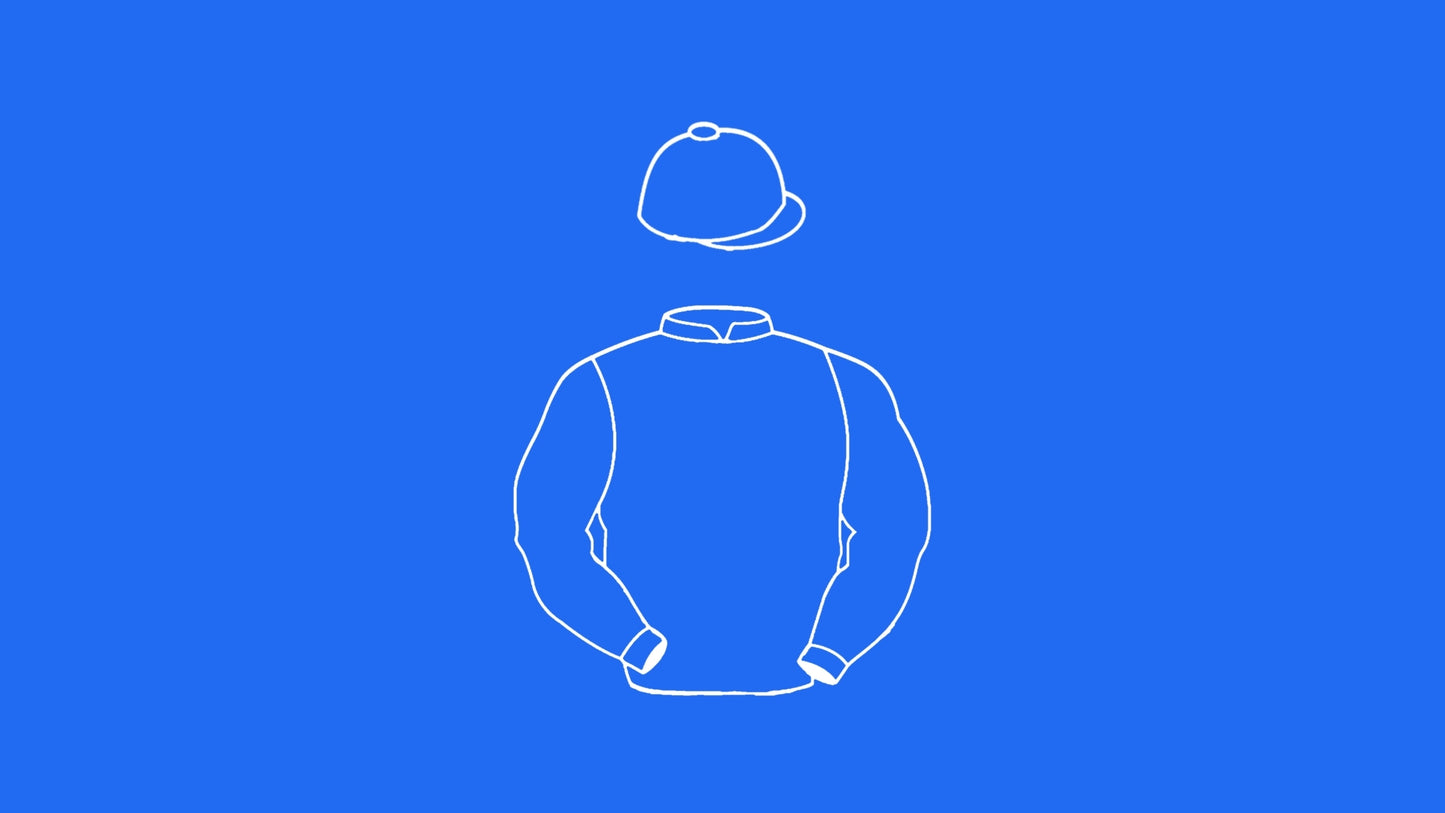 Godolphin Mini Silks
