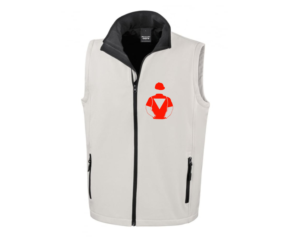 The Rogues Gallery Mini Silks