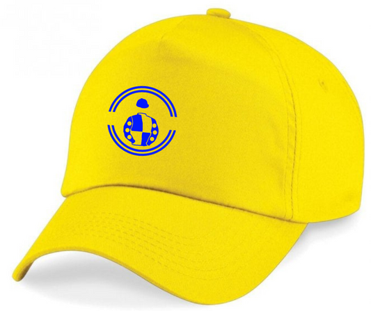 Colm Donlon Horse Racing Cap Mini Silks