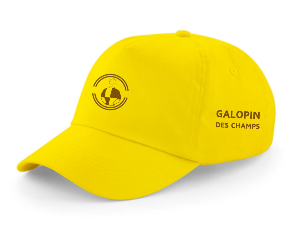 Galopin Des Champs Cheltenham Gold Cup Cap