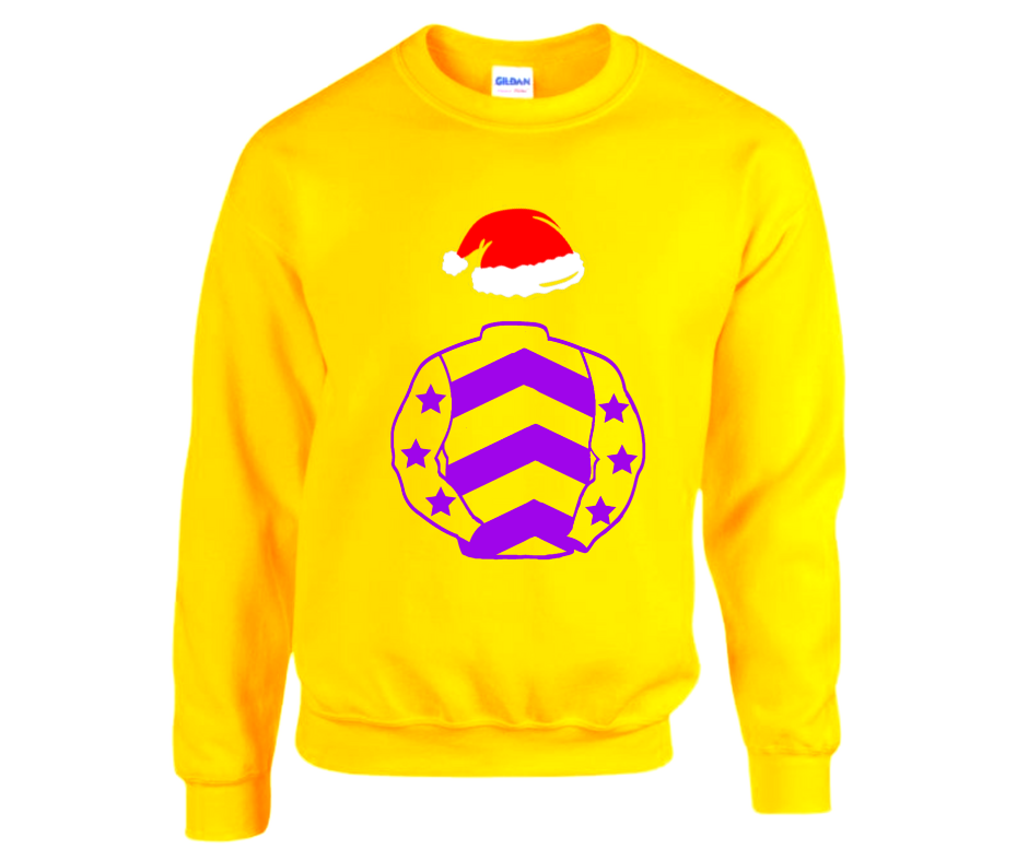 Barraston Racing Christmas Jumper