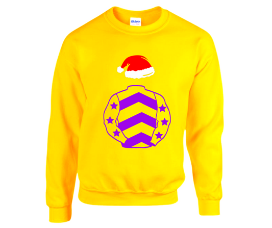Barraston Racing Christmas Jumper