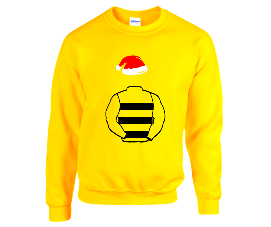 The Hive Partnership Christmas Jumper