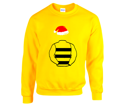 The Hive Partnership Christmas Jumper