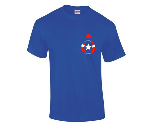 The Racing Emporium Mini Silks