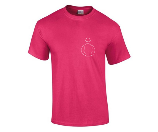 Ingham Racing Mini Silks