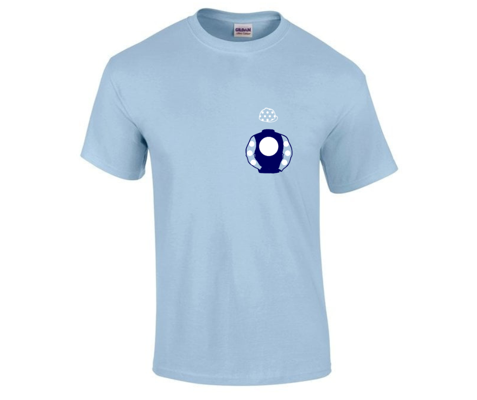 Future Champions Racing Mini Silks