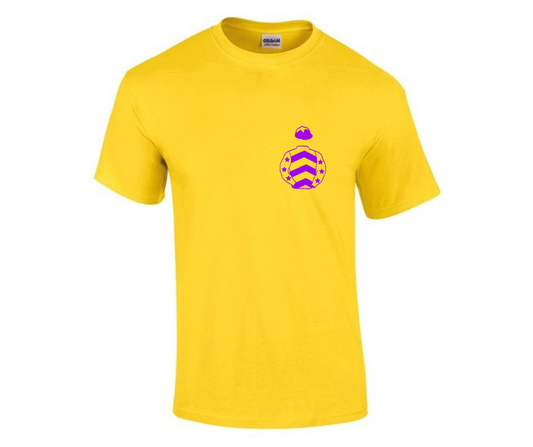 Barraston Racing Mini Silks