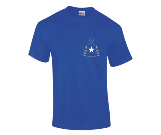 Albaugh Family Stables Mini Silks