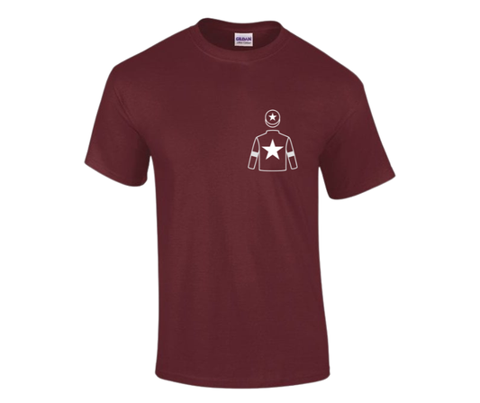 Gigginstown Mini Silks