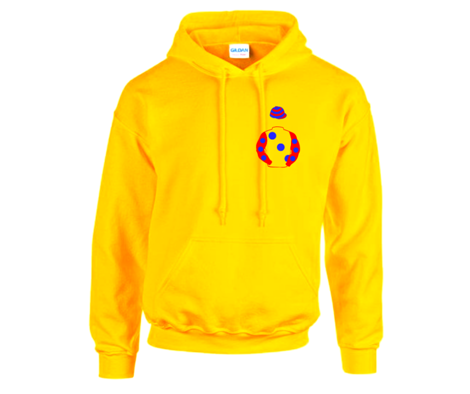 Top Man Racing Syndicate Mini Silks