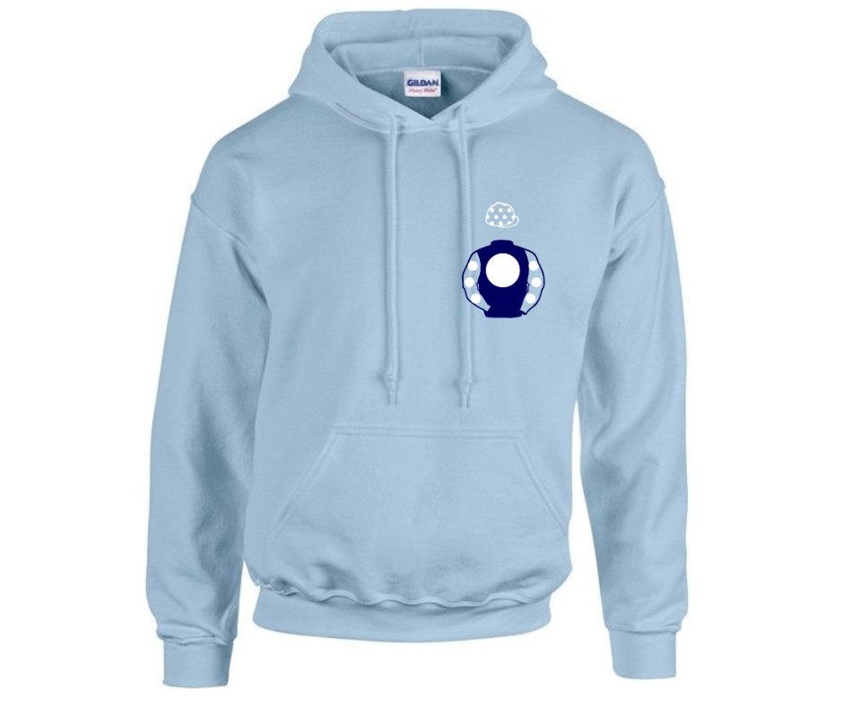 Future Champions Racing Mini Silks