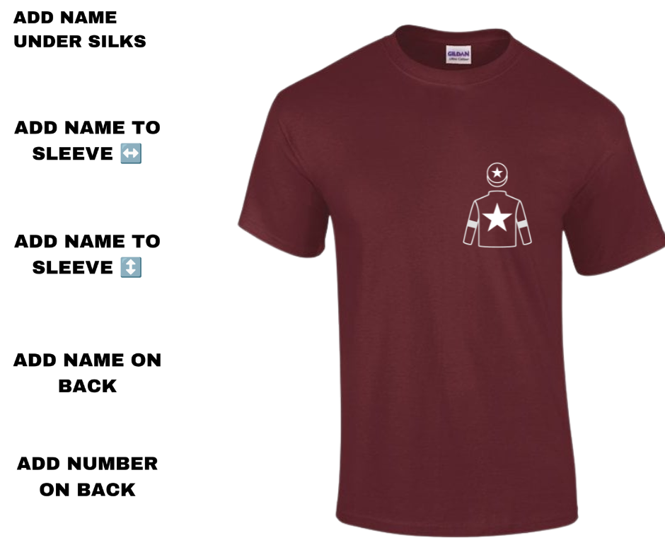 Gigginstown Mini Silks