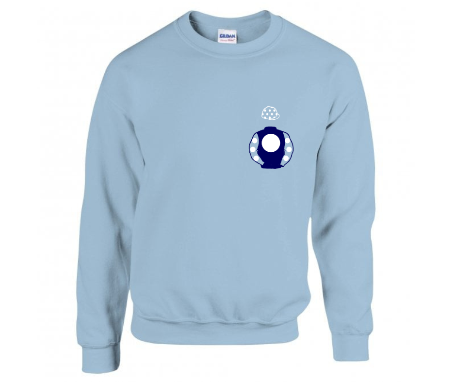 Future Champions Racing Mini Silks