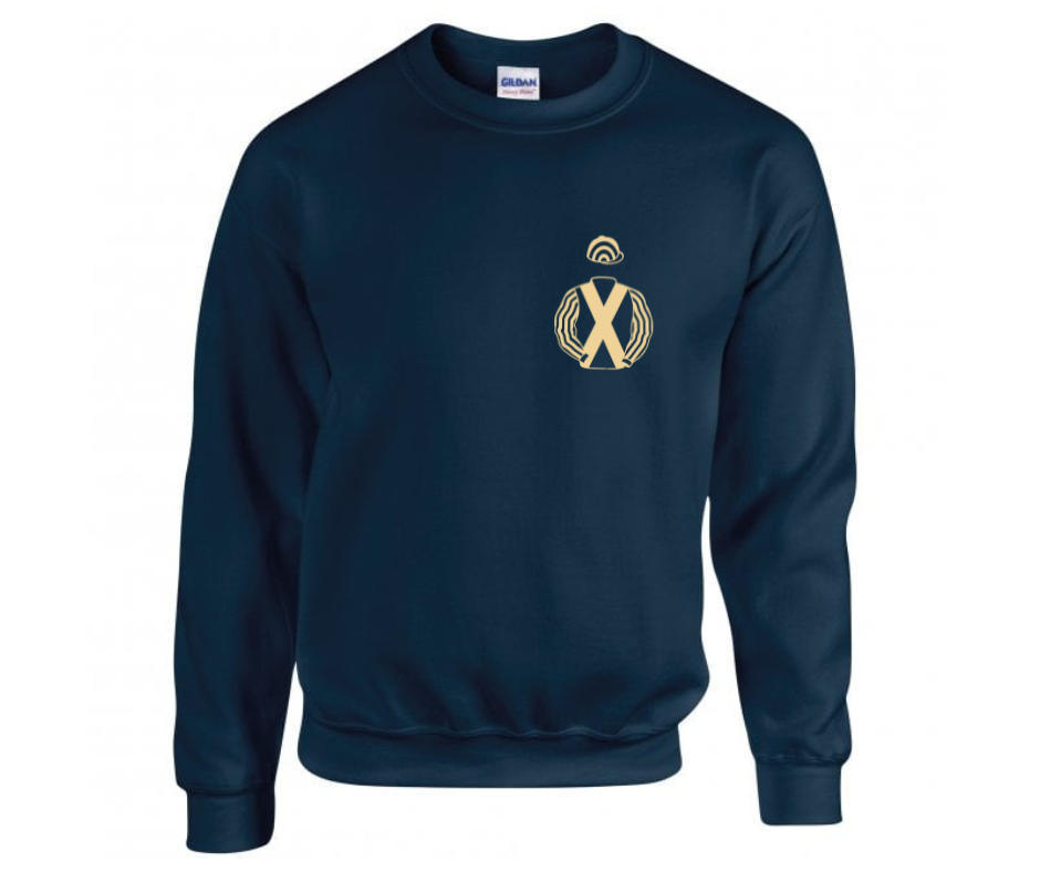 Somerset Racing Mini Silks