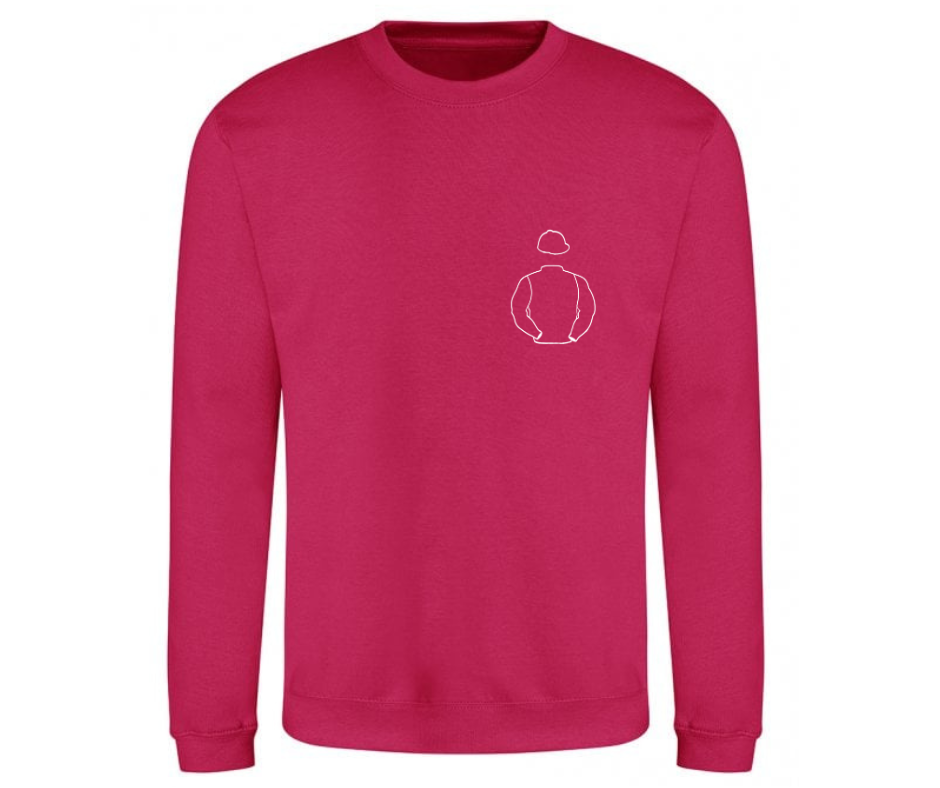 Ingham Racing Mini Silks