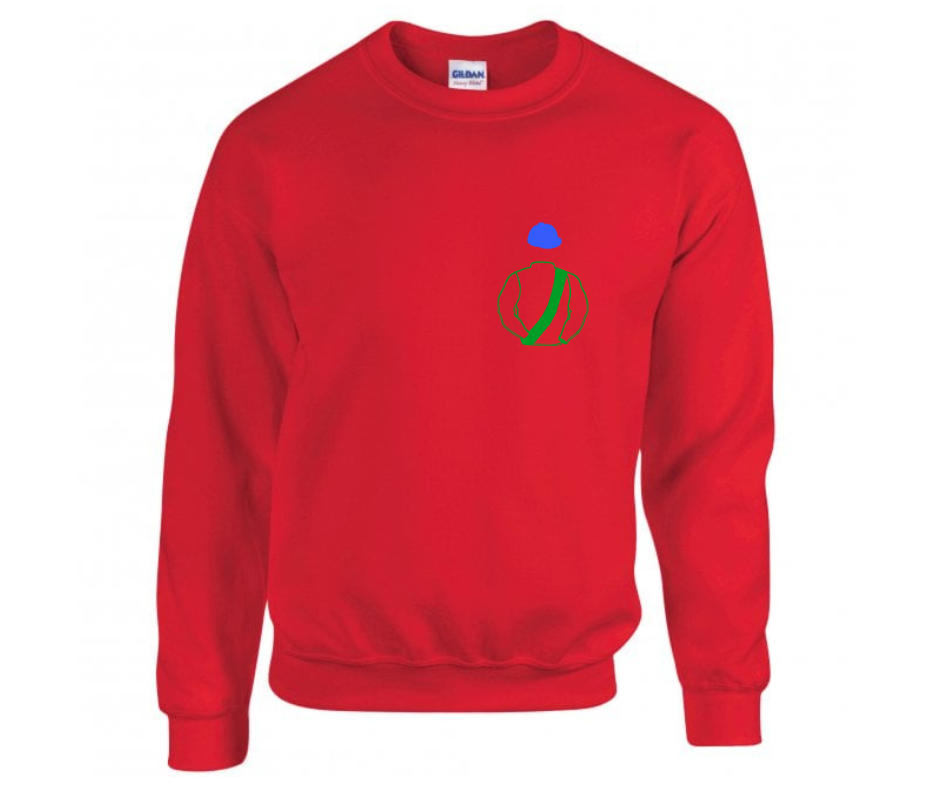 Terence O'Brien Racing Syndicate Mini Silks